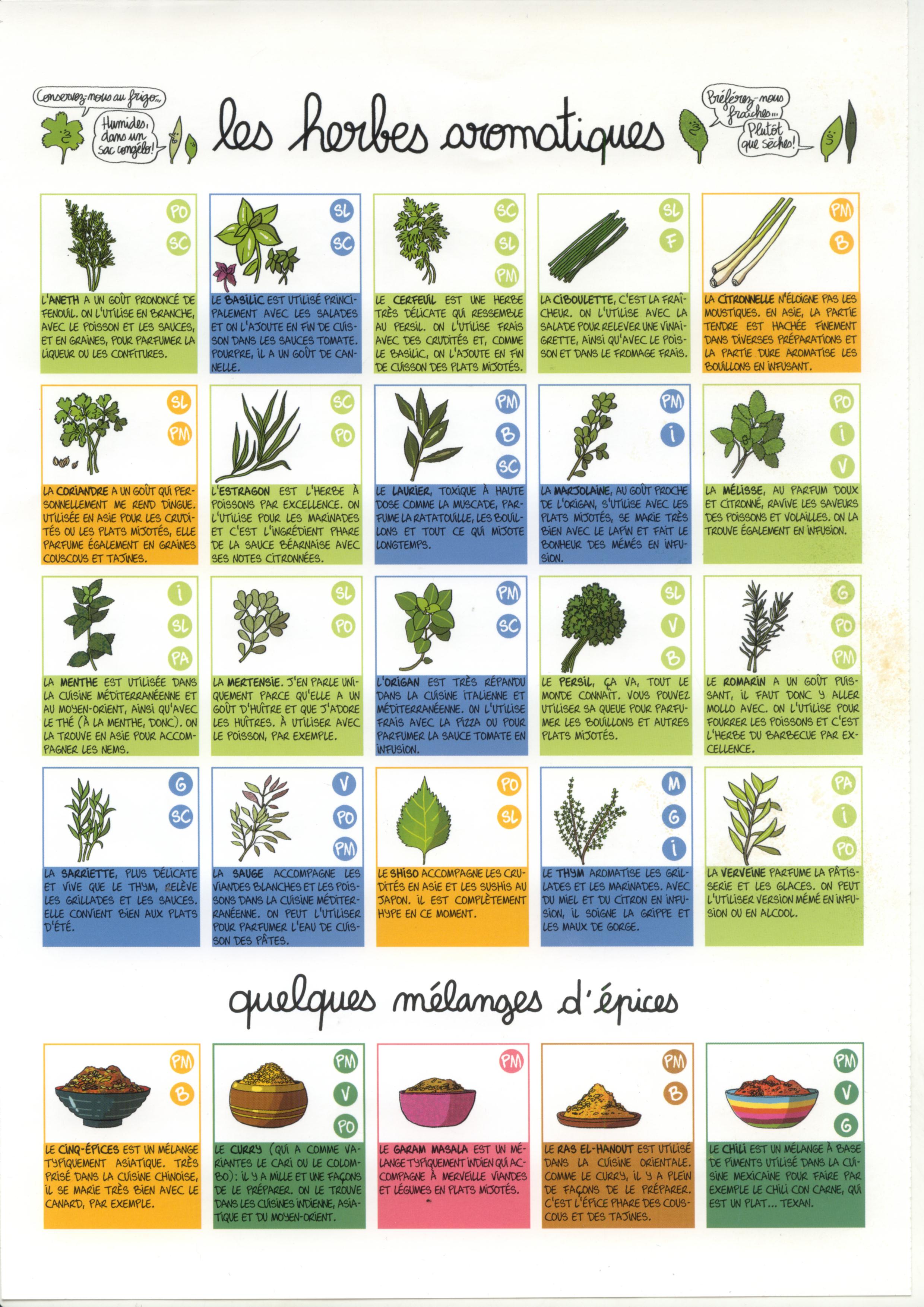 les herbes aromatiques