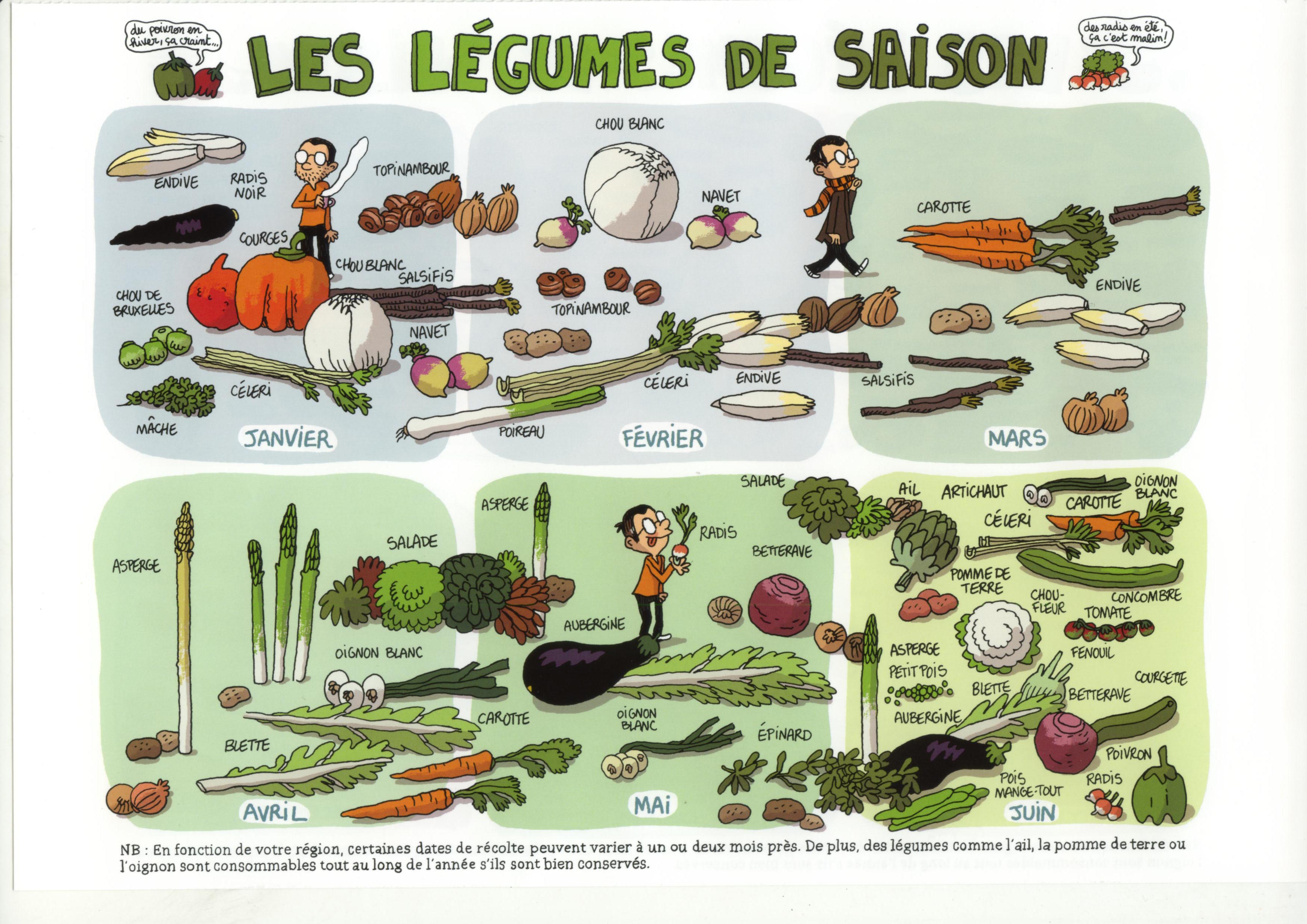 Les légumes de saison
