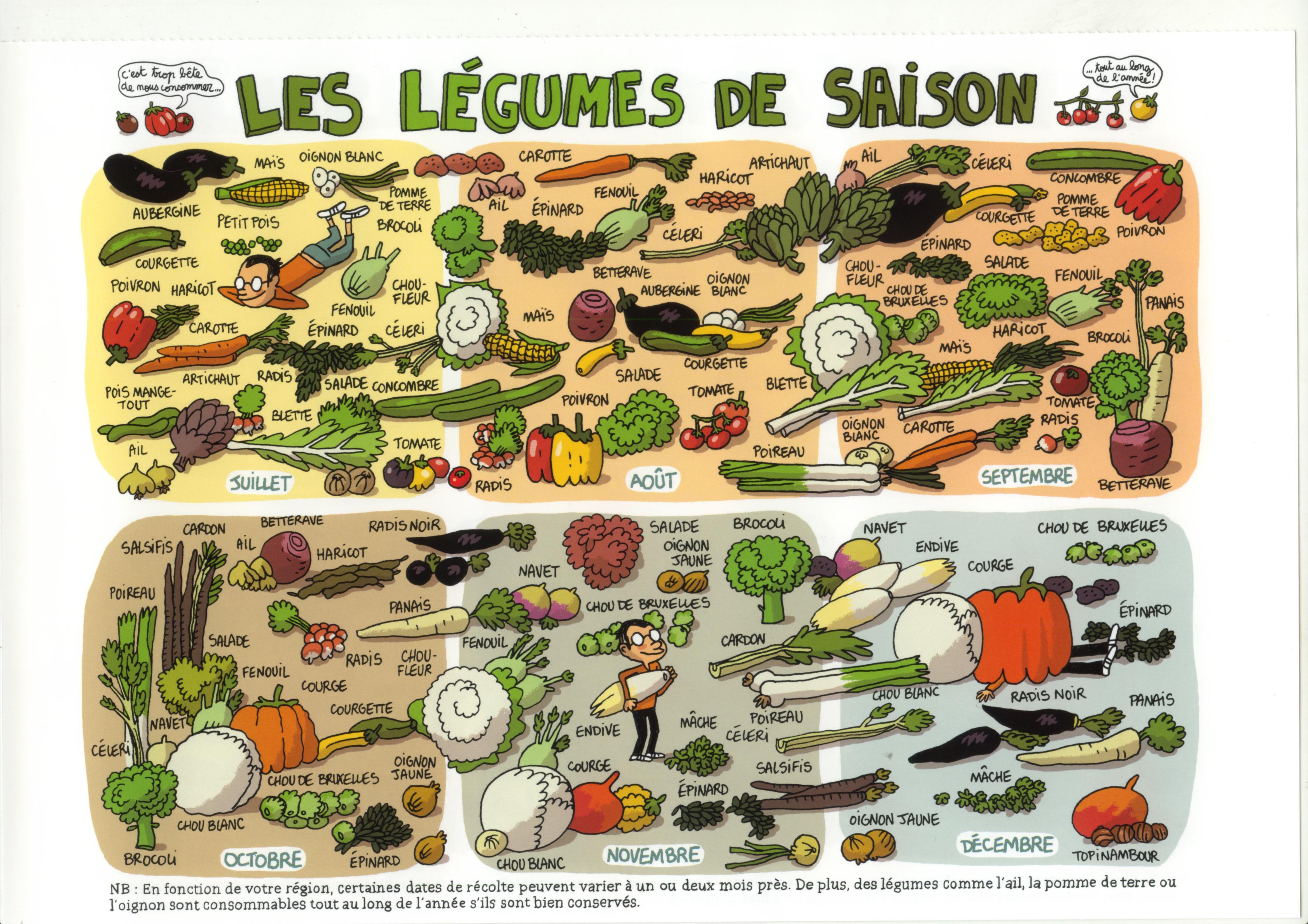 Les légumes de saison